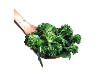 Mugnuli selvatici di campo