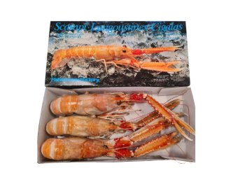 Scampo 1/3pz/kg fishermens c/bordo