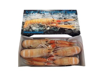 Scampo 2/4pz/kg fishermens c/bordo