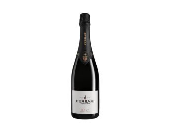 Vino ferrari spumante brut doc