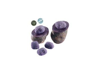 Gnocchi di patate viola (mammoli) d.c.