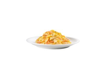 Garganelli al salmone fiordiprimi