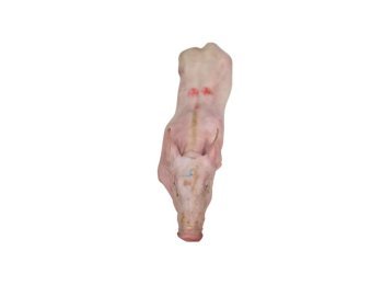 Maialino crudo s/o 10/12 kg
