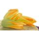 Fiori di zucca in vaschetta al naturale