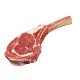 Tomahawk galles scottona
