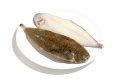 Sogliola dover n 3 nl