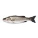 Branzino 200/300 grecia