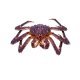 Granchio reale (king crab)