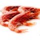 Gambero rosso atlantico 20/25