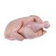 Pollo a busto halal 800 gr