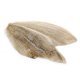Filetti passera s/p 200/400 gr