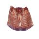 Sella IGP galles agnello