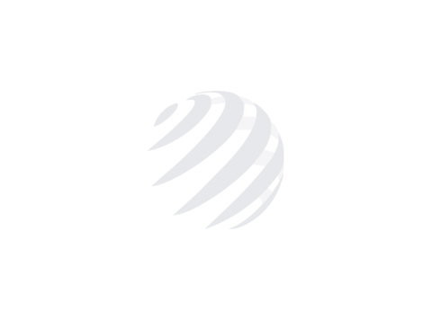 Trippa alla veneta 4 x 500 gr